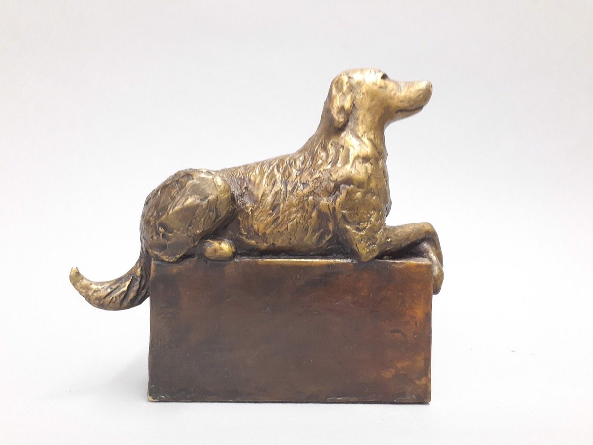 Canyon Contemporary tweet media