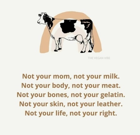 Vegan Future (@veganfuture) on Twitter photo 