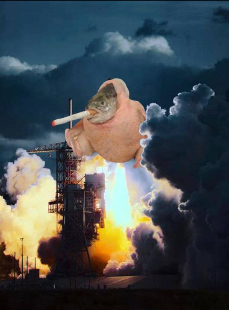 RobzillaTV's tweet image. $SCF airdrop is now live x.com/CryptoSCF/stat…