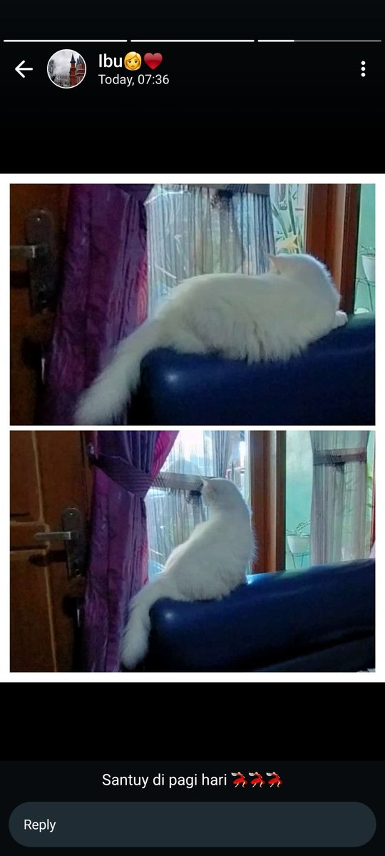 Status ibuke pagi hari ini 🥰