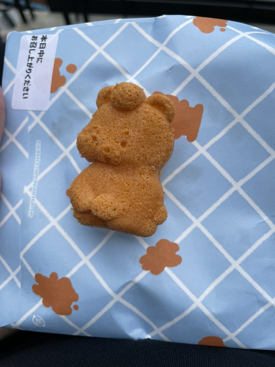 えふたんかわいい