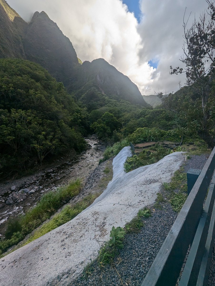 DagwellCli's tweet image. Beauty worth saving. @MalamaProject