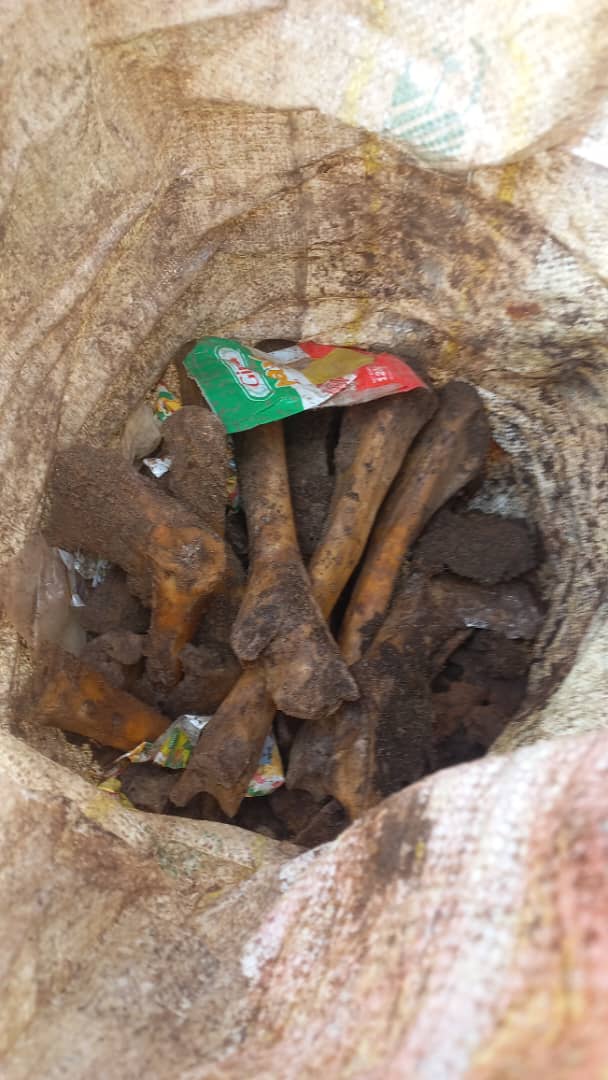 NewsClickng's tweet photo. Items recovered from premises of Light of the Living Church and General Overseer's office shortly after demolition

#Arne #SholaAmeobi #CelineDion #Israel #Liverpool #RCCG #NancyIsime #HAPPENINGNOW #Sporty #Klopp #TeamNigeria #TobiAmusan #FemiBranch #Sultan https://t.co/sWitOx4pW4