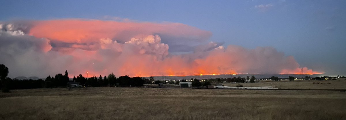 Tehama Co. Spotter tweet media