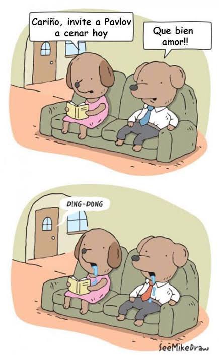 balnadu's tweet image. Jajajajajaja #Pavlov