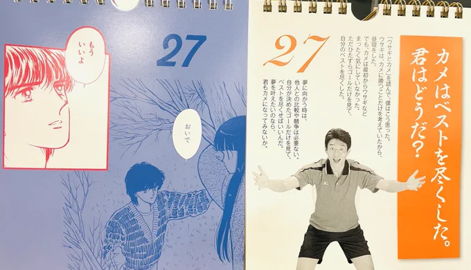 とうとう同じポーズ
#日めくり 