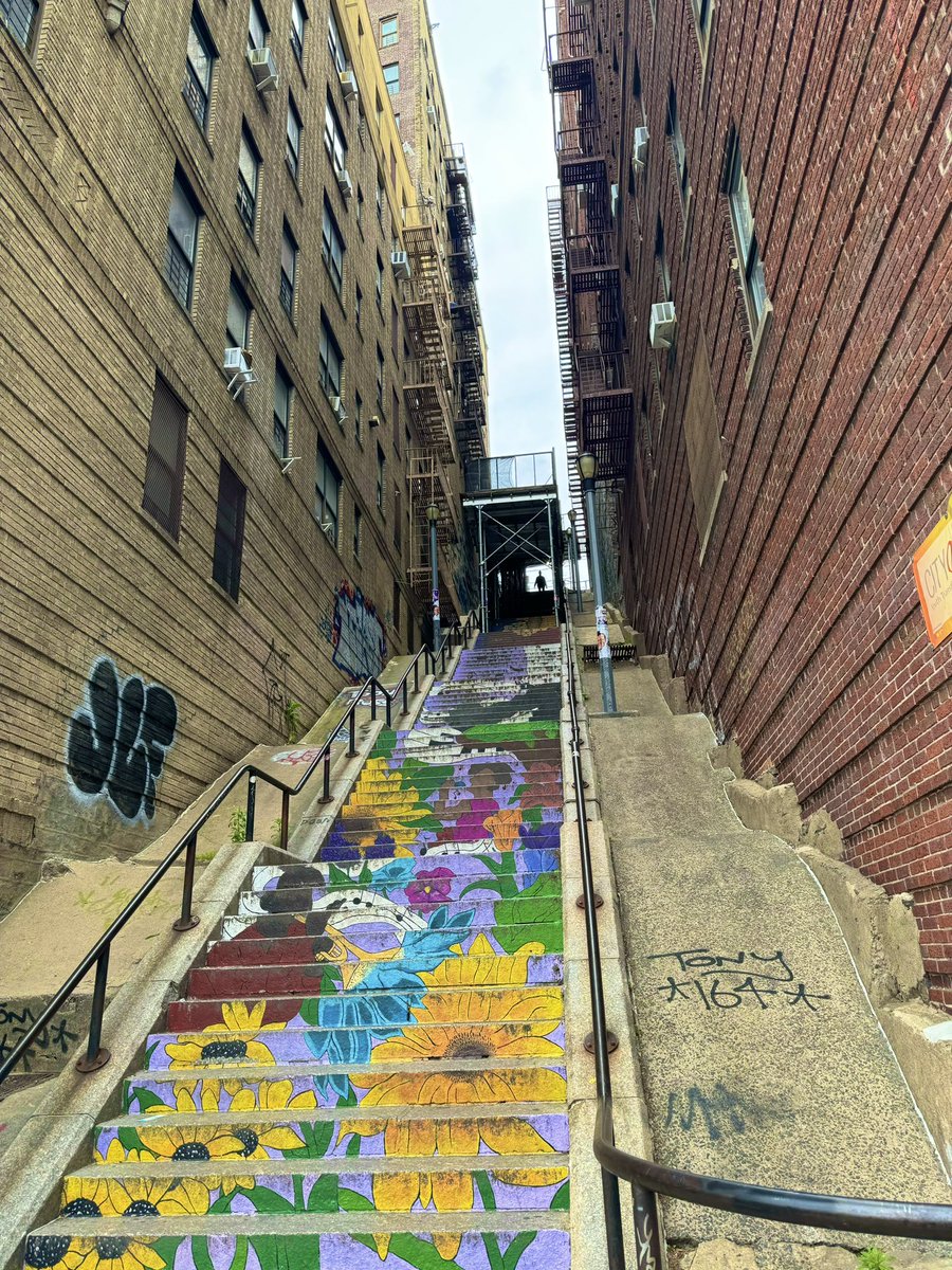 Fri_aalpr's tweet photo. The bronx. https://t.co/gaDyxi3ksm