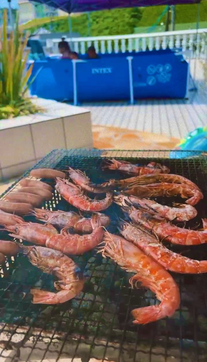 tenrabi_'s tweet photo. 🦐🍉🐩💗💗💗 https://t.co/ZcpVZhQFt0