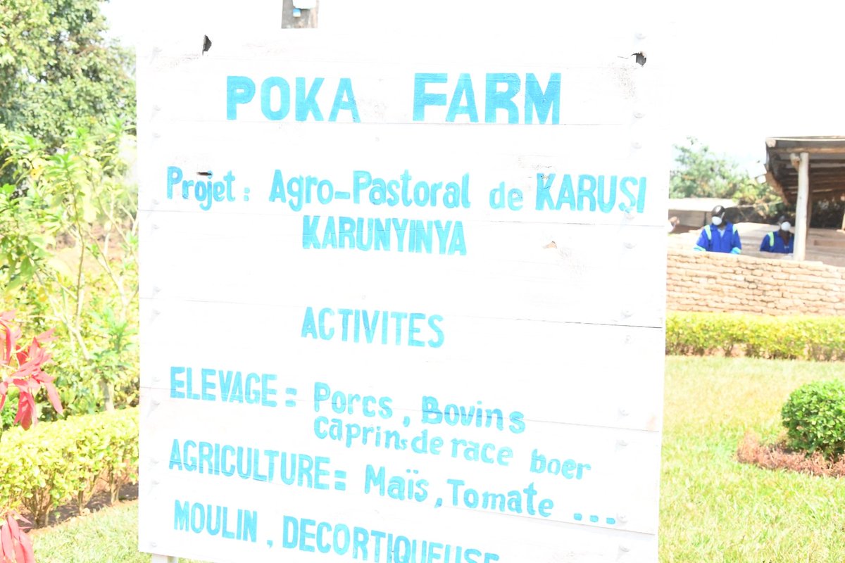 <a href="/KarusiProvince/">Province Karusi</a> :Le chef de l'Etat <a href="/GeneralNeva/">SE Evariste Ndayishimiye</a> a visité  à #Karunyinya en commune #Buhiga, Poka farm, un projet agropastoral de Rubis Clair Bazira, un membre de la diaspora vivant en #Autriche.  Il l'a félicité pour le modéle qu'il donne aux autres Burundais vivant à l'étranger