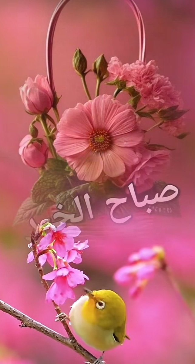 سلطان (@sm_qtr2) on Twitter photo 