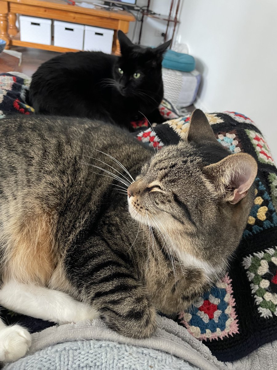 Back home after a week away in the field. It’s a difficult life.