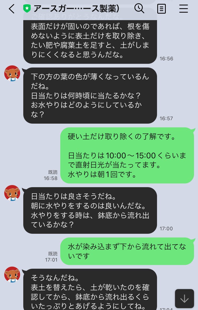 hachi_mal's tweet photo. 子が持ち帰ってきたきゅうりがヒョロヒョロだったのでまもるくんに相談してアドバイス通りにしたら復活してきた。やはりまもるくんは神。 https://t.co/3hyFTMPhoR