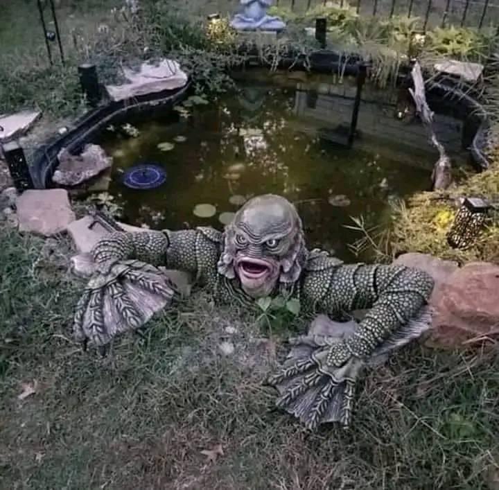 80shorrormovies's tweet photo. Best garden decoration ever https://t.co/oq8lCXusQJ