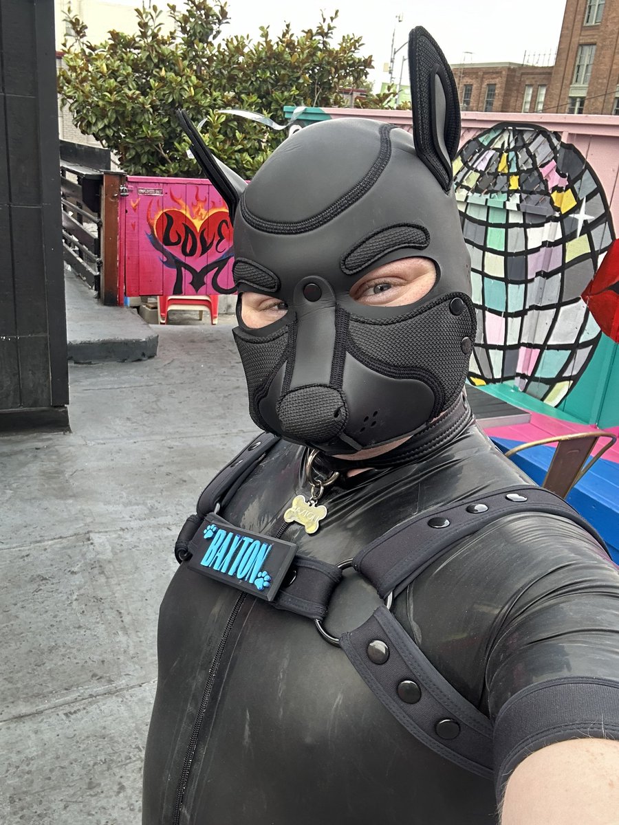 Puppies at Oasis for Bark Before Dark.
Broke out the rubber suit!