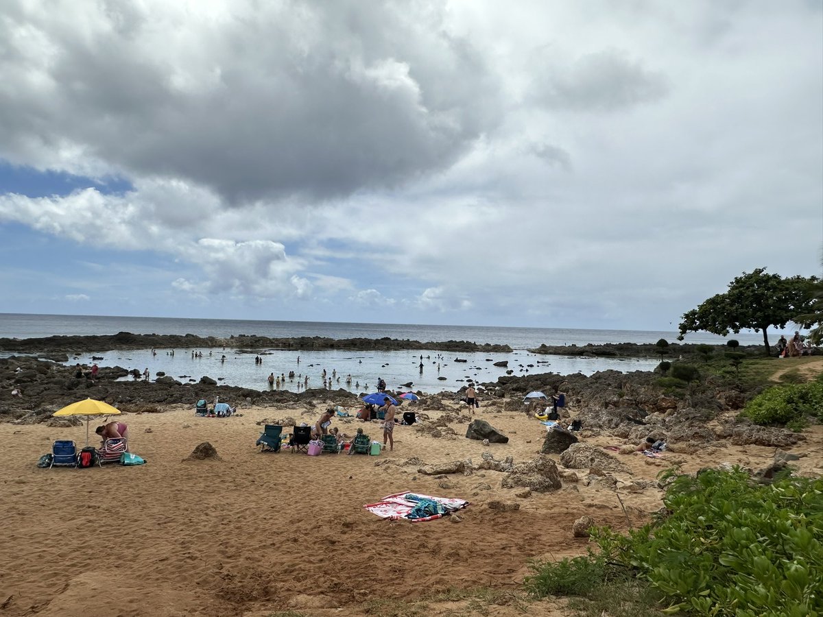 Hit up Sharks Cove this morning for some snorkeling. No honu but lots of other really great sea life to watch.