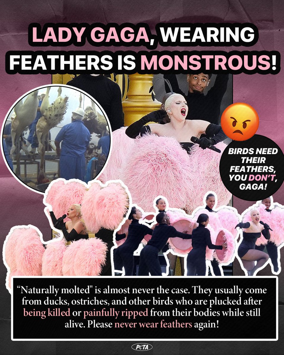 How 𝙨𝙝𝙖𝙡𝙡𝙤𝙬 can you be <a href="/ladygaga/">Lady Gaga</a>? As an artist who challenges norms, it’s time for you to embrace animal-free fashion. #OpeningCeremony
