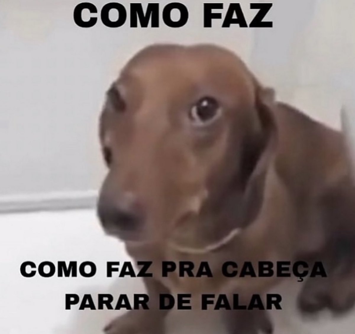 Shitpost só que de verdade tweet media