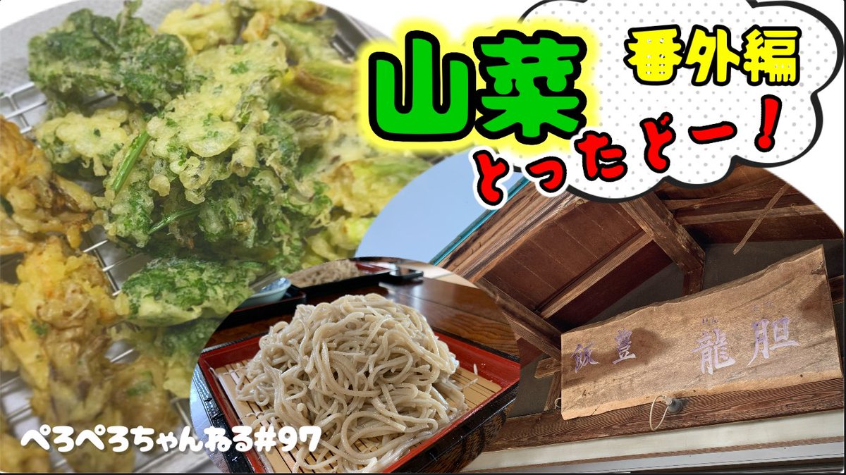 peroperodazo's tweet photo. vol.97 前回の山菜とり続編です！

高評価&amp;チャンネル登録よろしくお願いします🙇

#fukushima #福島県 #山菜 #山菜採り #ぺろぺろちゃんねる

動画https://t.co/rKfsTyJn9G https://t.co/GIMI38igWJ