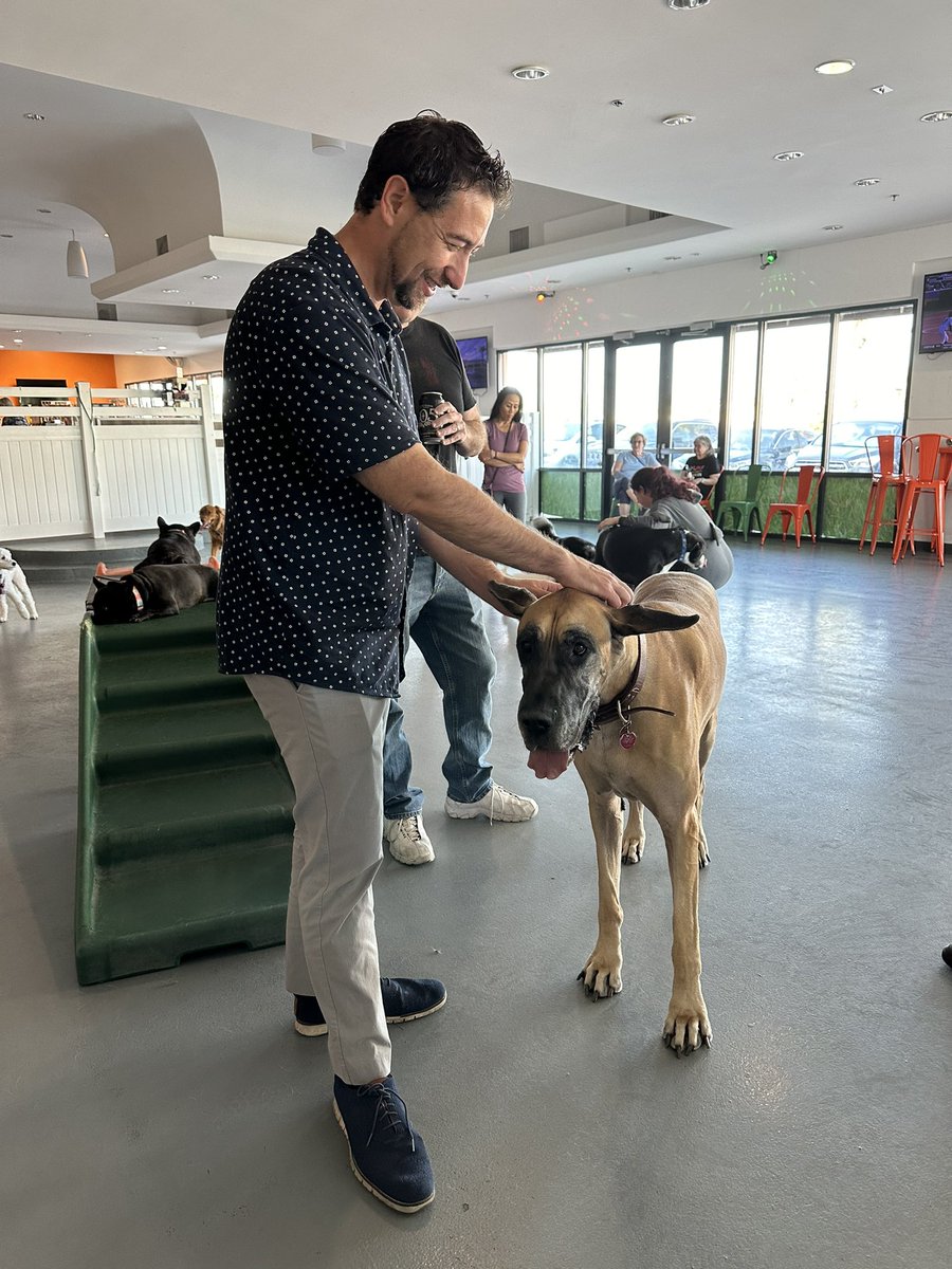 Had the chance to stop by <a href="/barxparx/">Barx Parx - Indoor Dog Park</a> in #DistrictA for their weekly social — held every Friday from 4-8pm. The facility offers an indoor dog park, grooming, boarding, training, and more 🐶🐾