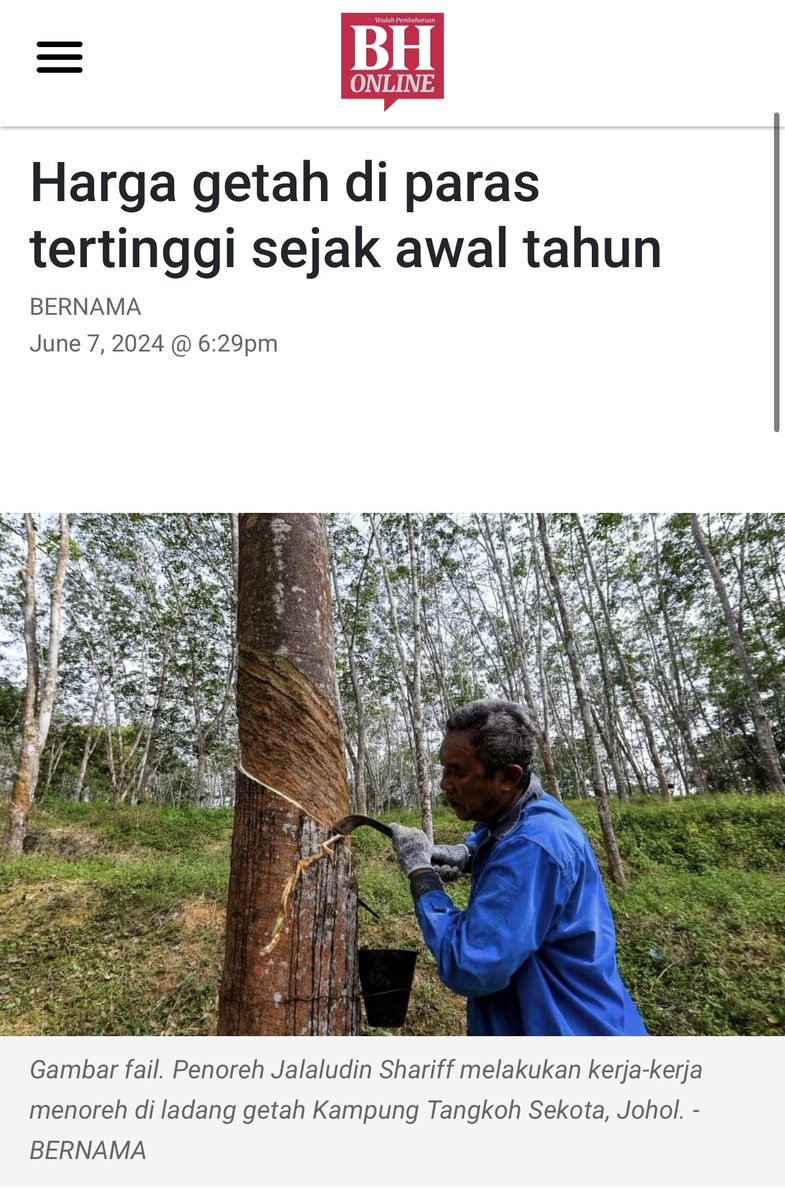 liyana_marzuki's tweet photo. POLITIK PERUT 

Suhu politik negara menurun dua tiga menjak ini. Tu sebab saya kurangkan menulis hal politik. Bukan apa. Dah masuk 20 bulan lepas pilihanraya. Sepatutnya less on politics, perbanyakkan bincang isu bina negara. 

Kenapa makin menyejuk dunia politik kita? Banyak penyebabnya. Ada desas desus PAS akan menyertai Kerajaan Perpaduan. Bunyi2 penyatuan UMNO dan PAS sudah makin kuat. Sekarang kita nampak macam sudah ada cease fire. Isu politik agama pun makin berkurang. 

Selain dari itu, faktor ekonomi juga membantu. Bila ringgit dan bursa saham makin mengukuh, rating antarabangsa pun menaik, spill over effect akan mula dirasai. 

Bagi T20 dan M40 mereka boleh baca dan kaji indikator ekonomi. Sama ada ekonomi makin elok boleh dibukti. 

Tapi bagi golongan rentan dan sederhana, mereka tak kisah segala data. Tapi tak semestinya mereka blur sahaja dengan keadaan semasa. 

Indikator golongan ini senang sahaja. Mereka perhatikan keadaan sekeliling. 

Bila harga getah, sawit dan padi naik. Itu pada mereka ekonomi makin naik. 

Bagi golongan pekerja, bila harga barang basah dan kering makin turun, itu pada mereka Kerajaan buat kerja. 

Kalau Kerajaan tekankan menjaga perut dan hati rakyat. Percayalah, propaganda ala Nazi sekali pun rakyat takkan termakan. 

*********************

Ada setengah politikus hendak kekalkan pengundi dalam kemiskinan. Kerana kemiskinan itu selalunya membawa kepada kekufuran. 

Pada Pemimpin ini, bila kufur pengundi akan senang dibawa dekat dengan Tuhan. Barulah politik agama boleh jalan. 

Ini bukan cerita di Malaysia sahaja. Dalam sejarah, politik agama di serata dunia, itulah caranya. Kekalkan rakyat dalam kemiskinan. Bagi mereka gula2 syurga dan impian kekayaan. Kekayaan pulak ditayang oleh pemimpin sendiri. Agar mereka nampak gah di kalangan pengundi. Itu jelah MO nya. Sama belaka mereka ini. 

Antidote politik tunggang agama ialah politik ekonomi. TIngkatkan kehidupan rakyat, jaga kebajikan mereka. Keluarkan mereka dari kesusahan dan kemiskinan. Nescaya tiada penunggang agama boleh cari makan. 

Saya hendak puji Kerajaan Madani ini. Fokus ekonomi mereka tepat buat masa ini. Bukan lagi fokus projek mega dan ekonomi kroni. Tapi melalui ekonomi perut dan membumi. 

20 bulan berlalu, sudah nampak cahaya di hujung terowong. Kita harapkan cahaya itu makin terang untuk tahun2 mendatang. 

Politik ini asasnya ialah untuk bina negara demi generasi masa depan. 

This Govt is on the right track. Kita doakan mereka kekal atas haluan. 

Salam hormat,
Liyana Marzuki