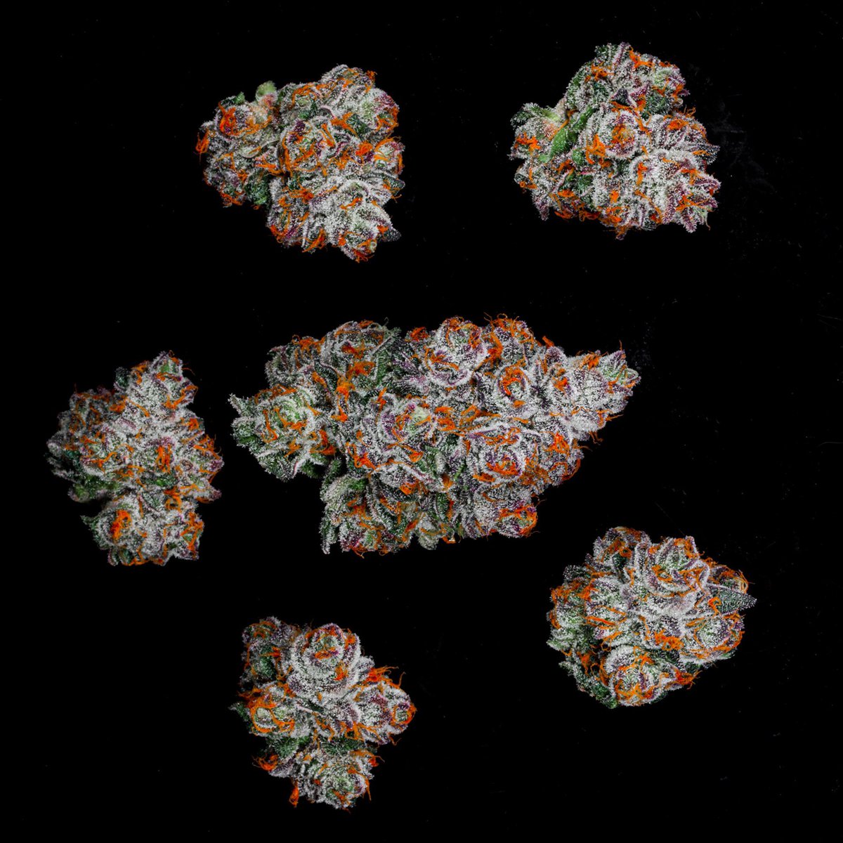 doja_pak1's tweet photo. People ask what I’m smoking and other than QC I smoke Gelonade. Yesterday I smoked 2 different batches and nothing else; it’s the flavour and effect that I like.
.
.
.
.
.
.
#dojapak #dojadirect #gelonade #qualitycontrol #Qc #bcn #dojabcn #smoke #dojastrains https://t.co/A4s6xihget