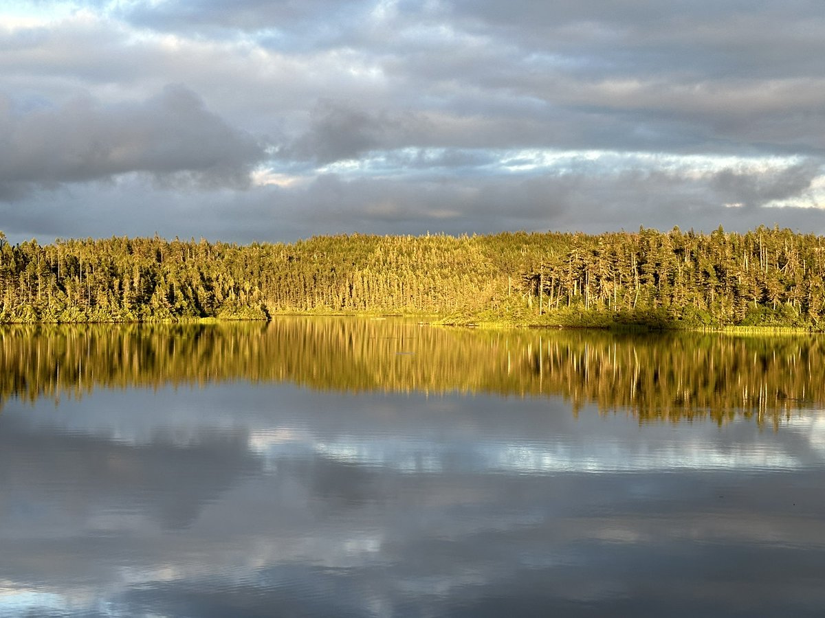 MercerMeesh's tweet image. Sunset at Hugh’s Pond, St Philips - clouds’  reflection looks like snow. @EddieSheerr