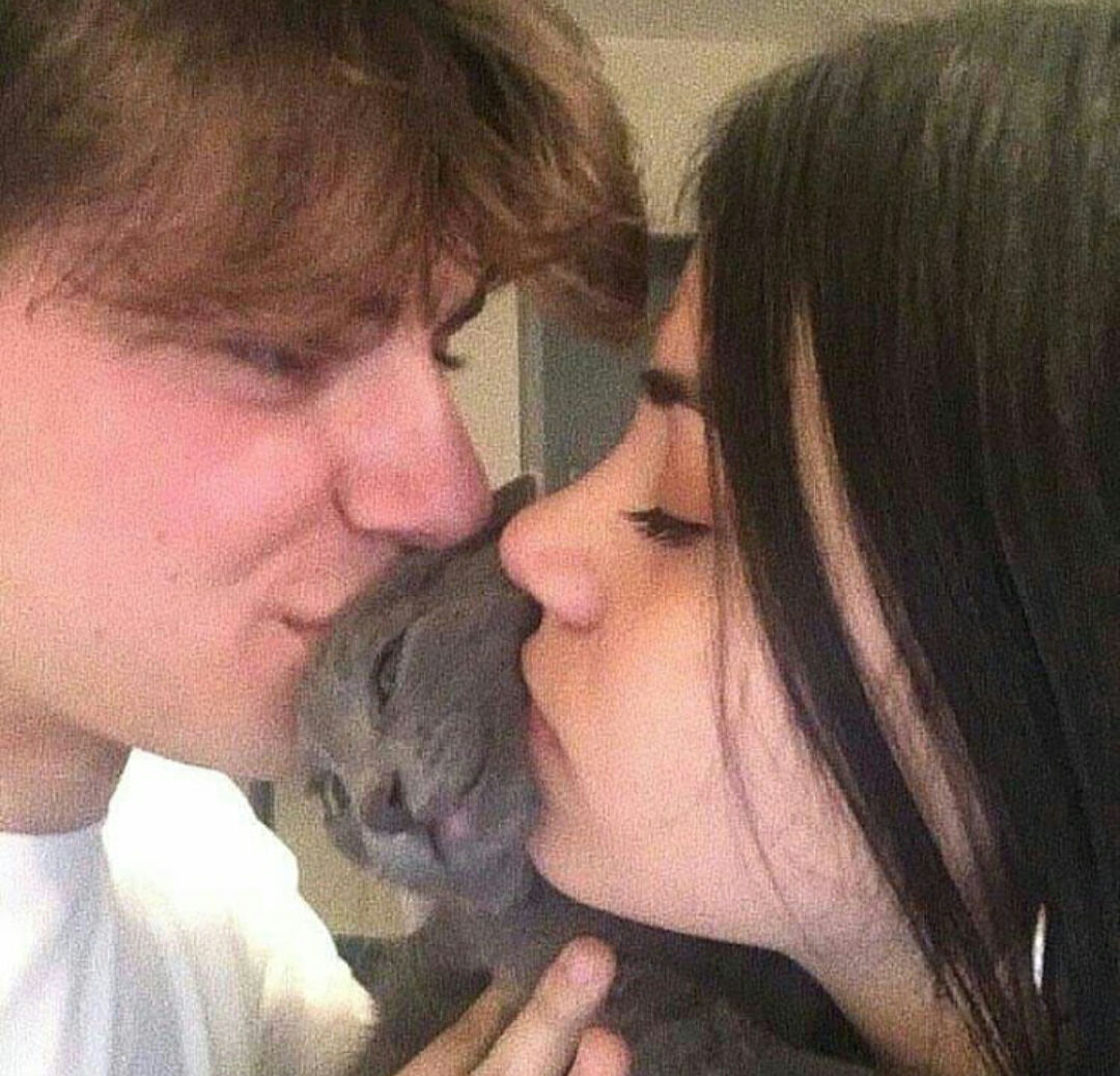 Punch Cat tweet media