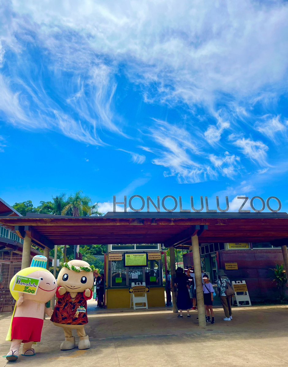 kamekamekun_hi's tweet photo. アロハー🌺 & アロハッピー😆
ホヌッピー、おかえり‼️
ふふふ、今日はお友達のホヌッピーとホノルル動物園をお散歩して来たカメ😊
たくさんの子供達と会えて、すごく楽しかったカメ😆
#ハワイ #ワイキキ #ホヌッピー #カメカメくん #Hawaii #Waikiki #Honuppi #KamekameKun https://t.co/Es1Z19pZnq