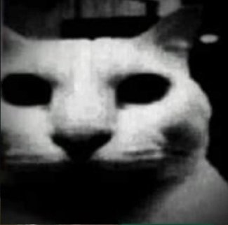 JP17_Jesus's tweet photo. OS RUMORES ESTAVAM CERTOS

fãs da Marvel/ ateus: https://t.co/rv4JhLDXtQ