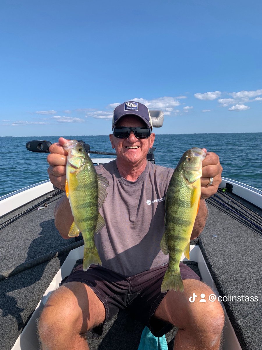 Colin Stass tweet media