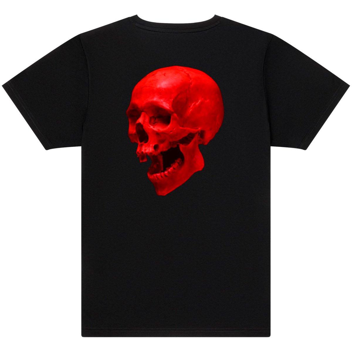 Made a tshirt design what are we thinking