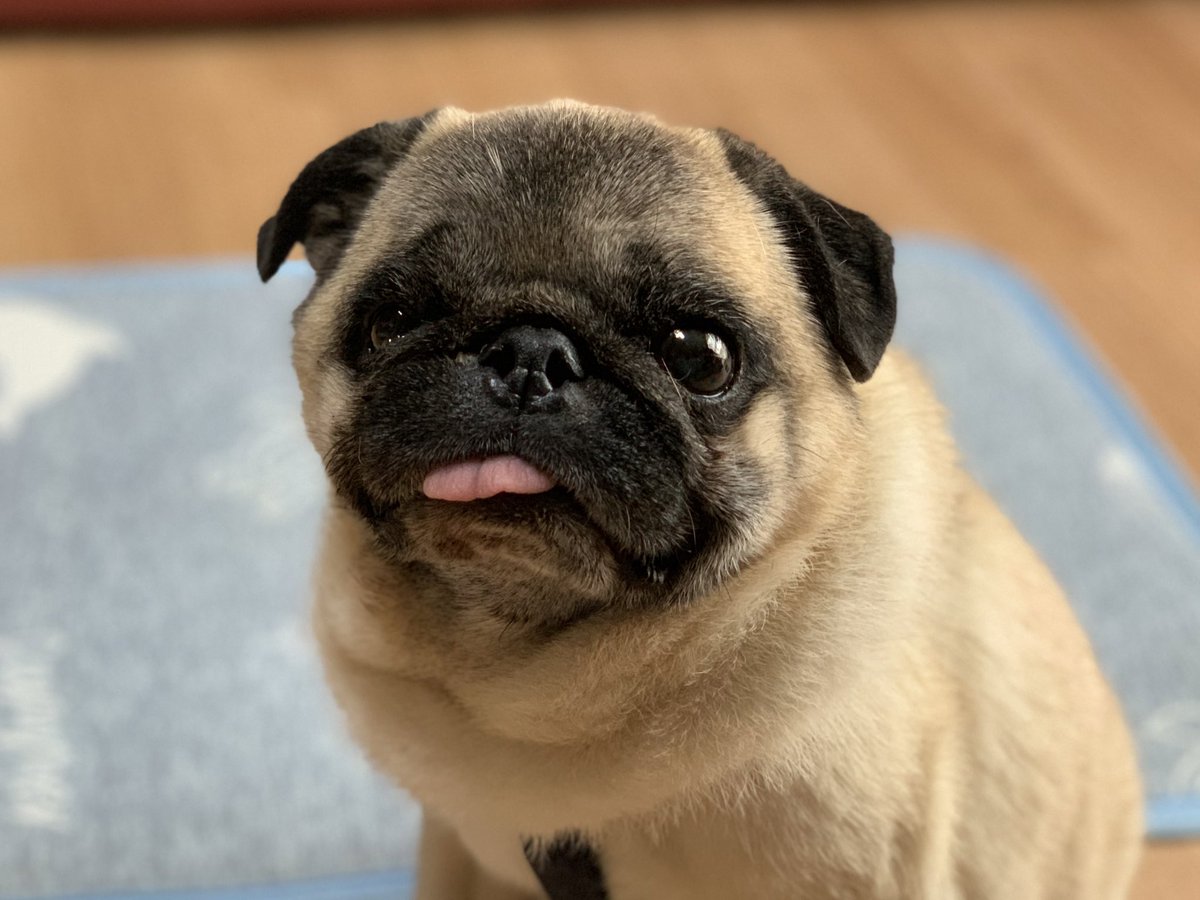 今日もノックアウトです😅

可愛い過ぎ…💕