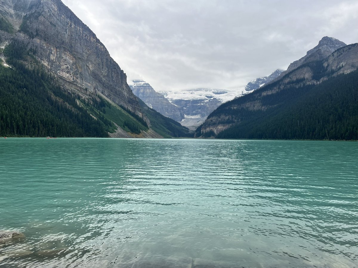 Lewis Goodall tweet media