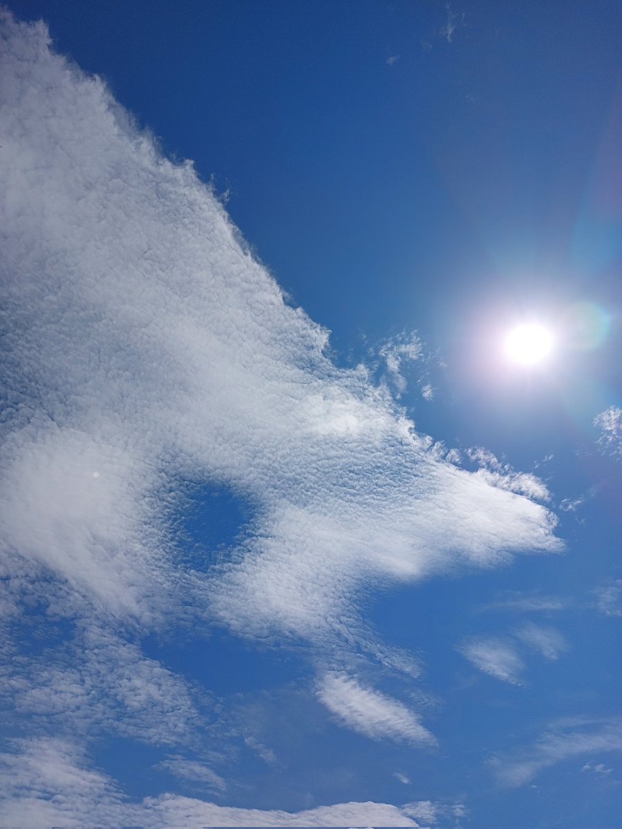 yumeasutw's tweet photo. #青空 にお日様ギラギラ✨竜の鱗のような雲が涼しげな土曜日の朝☀️
#鱗雲 に #穴あき雲 がぽっかり◯
予想最高/最低気温🌡️34℃/24℃
晴れのち曇り一時雨☀️→☁️|☔
午後は雲が多くなり雷、突風に御用心⛈️🌪️
#イマソラ #いまそら
#空の名前
#天気の図鑑 #雲の超図鑑
#a2024 #a0727 #a202407 #a2024074 https://t.co/Fjf1rJCOg9