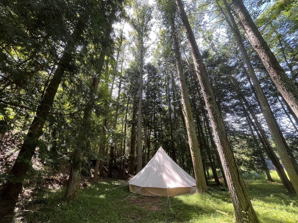 kagaribicamp's tweet photo. 本日もキャンプ日和ですね🏕️
当日予約も受け付けております☺️

#燎キャンプ場 #富士五湖 #当日予約 #mtfuji #camping #outdoor #kawaguchiko #kagaribicampsite https://t.co/vdxFTnwOos
