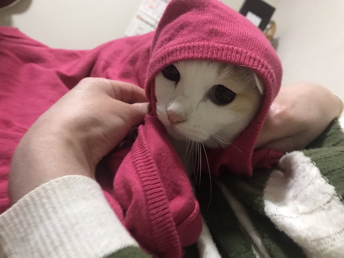 初ポスト