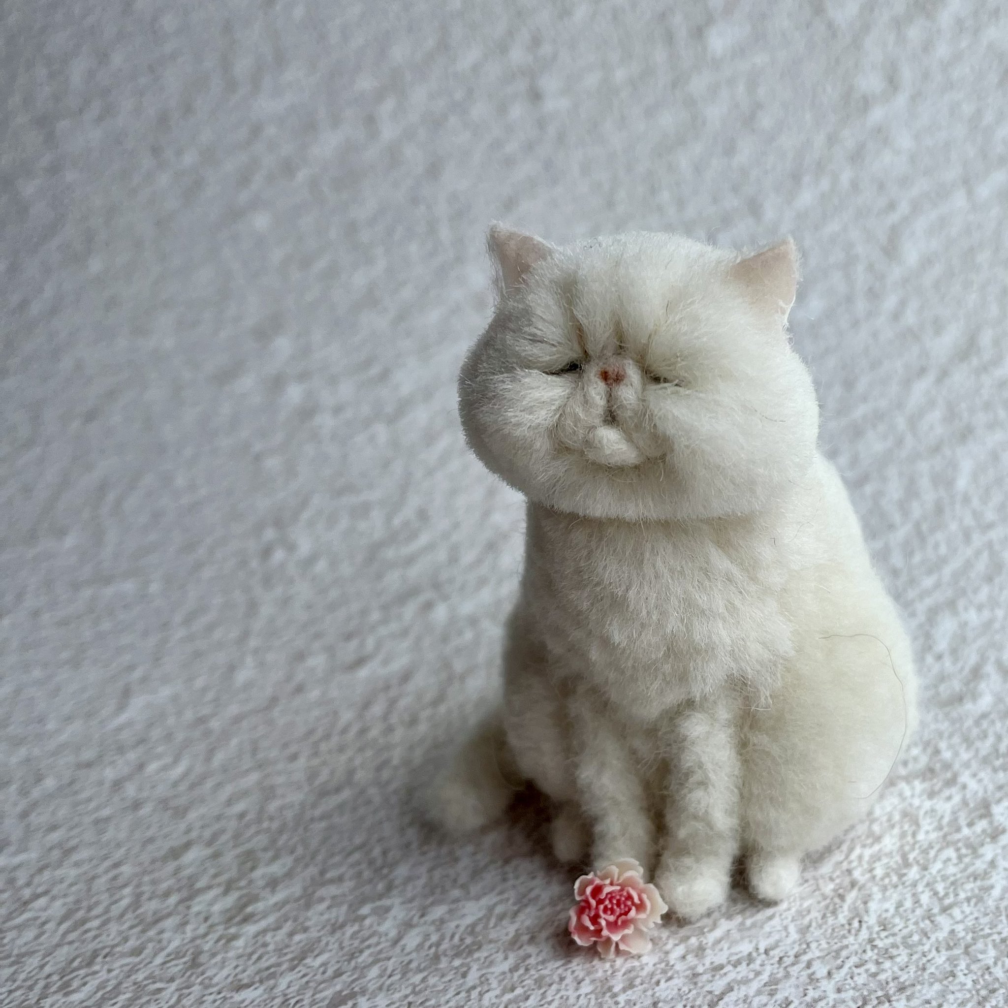 羊毛フェルト 猫 (エキゾチックショートヘア) 【公式通販】