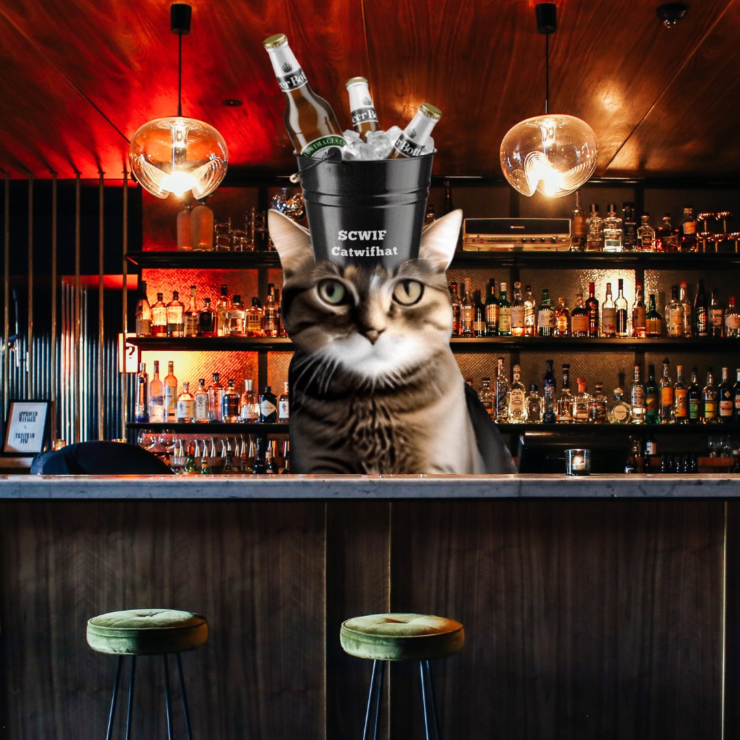 CodeMeow777's tweet image. Thirsty? Let’s fix that! What’ll it be? 🥂😸 $CWIF #BarLife #cwif