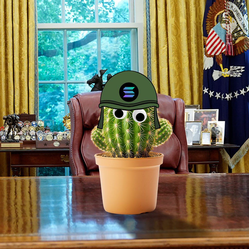 <a href="/ralphscall/">Ralph</a> Don’t miss out on $SPIKEY 🌵Ralph

The next $ROCKY

The first cactus coin on $SOL with the aim of reaching the millions and becoming a top memecoin 🌵

CA: hsuKDD6TKL5H3s1x8h411sZNVn2bHQqxcdtCuvCpump