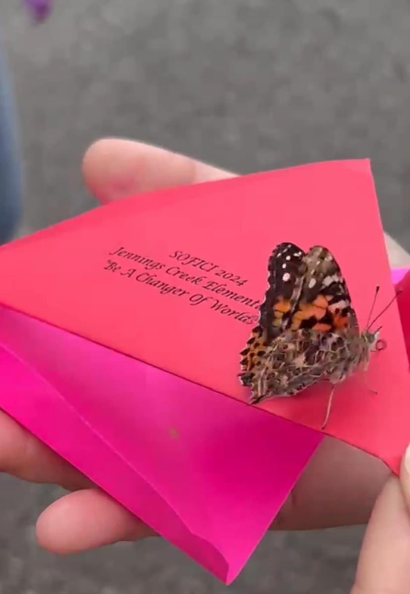 Anna Horne tweet media