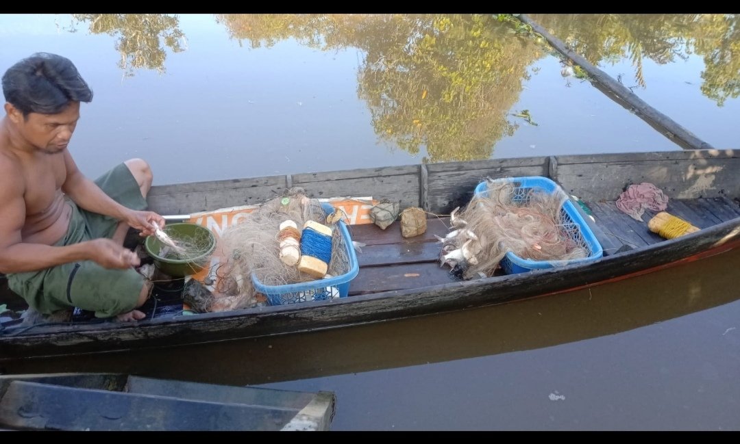 EKOPPB2016's tweet photo. Sabtu(27/7)Pagi,Nur Hidayat, Luhkan Kota Banjarmasin, di KUB"Berkat Ibu"(pak ahmad supiadi) ,alat tangkap rengge/jaring insang,ikan lawang, Total  3 kg, Harga Rp. 25.000/kg #GiatLuhkanSatminkalBWI #KtBjrmasin #Panen #Luhlapor https://t.co/gSwXSPxNm0