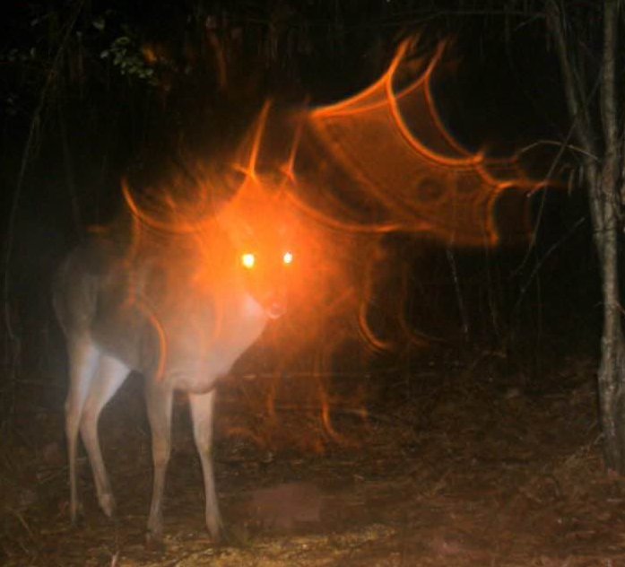 beanhowitzer's tweet photo. it is little known that deer have beam weapons https://t.co/lGNEkeLzMr