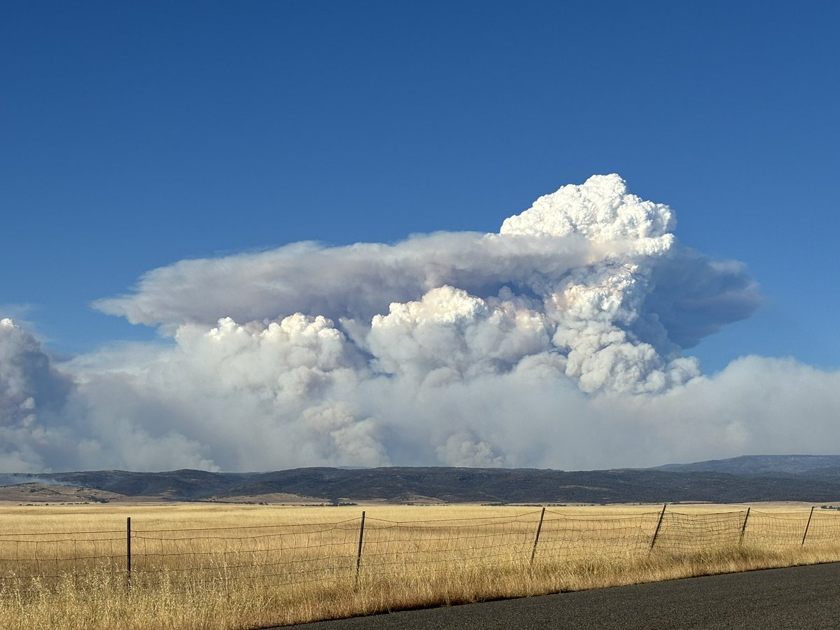 W_C_Weather's tweet image. Really punching now.