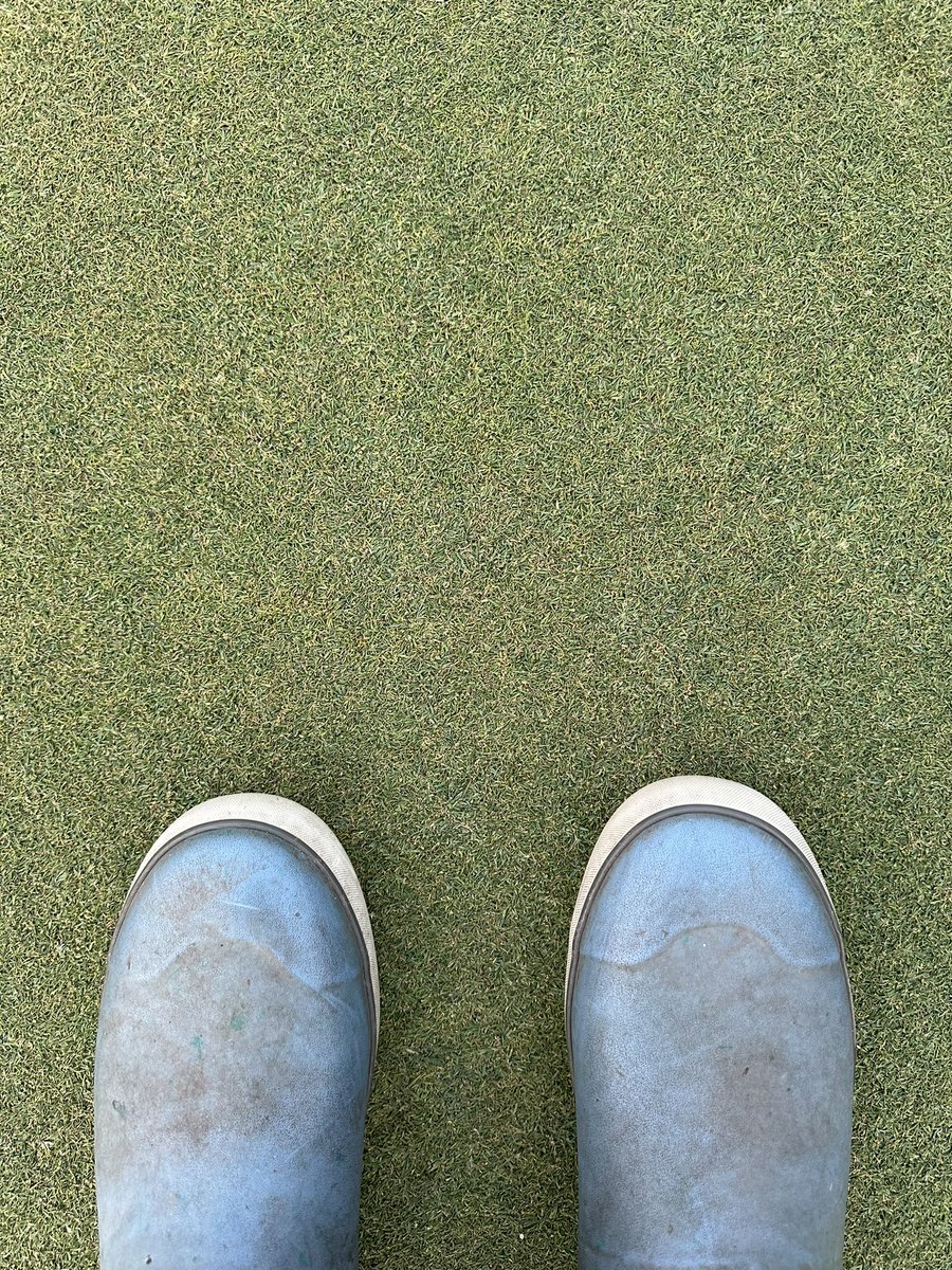 JT Hauser tweet media