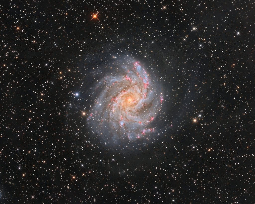 apod's tweet photo. From our vantage point in the Milky Way Galaxy, we see NGC 6946 face-on. The big, beautiful spiral galaxy is located just 20 million light-years away, behind a veil of foreground dust and stars in the high and far-off constellation Cepheus. In this sharp telescopic portrait, from the core outward the galaxy's colors change from the yellowish light of old stars in the center to young blue star clusters and reddish star forming regions along the loose, fragmented spiral arms. NGC 6946 is also bright in infrared light and rich in gas and dust, exhibiting a high star birth and death rate. In fact, since the early 20th century ten confirmed supernovae, the death explosions of massive stars, were discovered in NGC 6946. Nearly 40,000 light-years across, NGC 6946 is also known as the Fireworks Galaxy.

Image Credit & Copyright: Roberto Marinoni