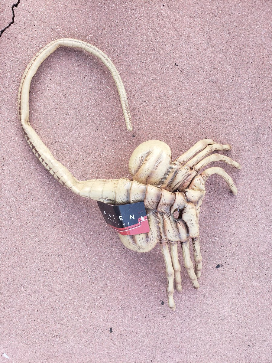 SD_Drago's tweet photo. @HallHLine @SD_Comic_Con Everyone just left the Aliens Romulus panel with a Face Hugger and ticket to see the movie in IMAX. Best Hall H swag of #SDCC2024 so far? https://t.co/16ubo2Sl2O