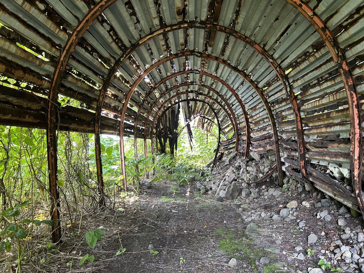 堀淳一先生の「忘れられた道」より 国道229号虻羅トンネル旧道 当時