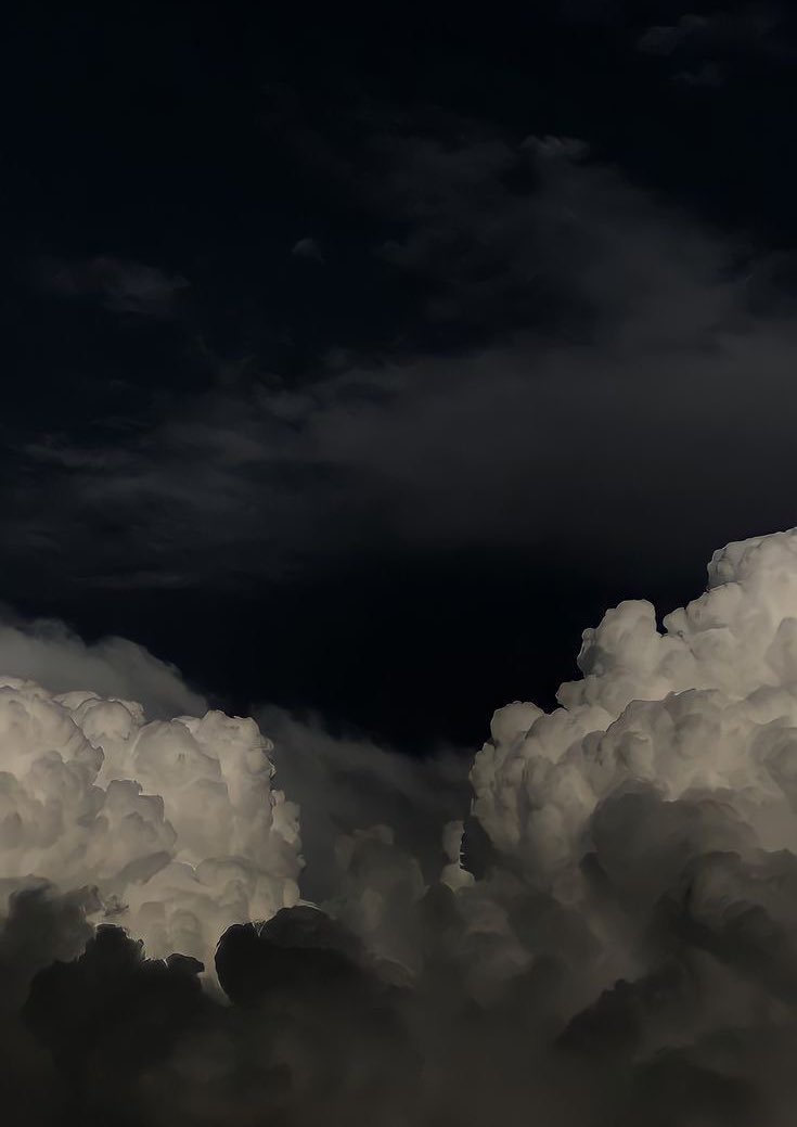 Butterflless's tweet image. 