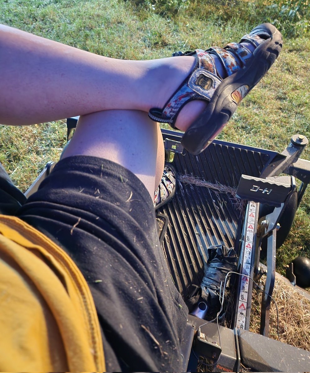 I'd rather mow my yard and garden than watch the $campolymics #Olympic2024