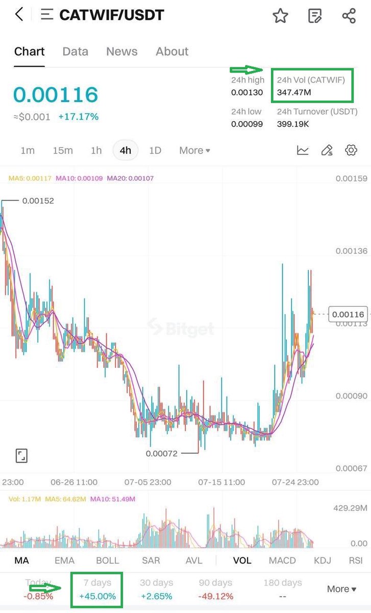 $Catwif Community take over

#Catwifhat #Catwif #SOL